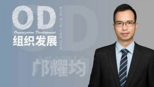 《OD入门：从OD核心概念到实践的15节系列课》详解OD咨询全过程