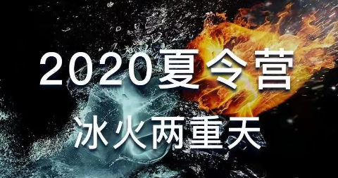 骑大：《2020夏令营 冰火两重天》价值分析，技术发展趋势