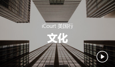 icourt课程合集：14法规、案例/证据集训营/演讲/写作集训营/谈判集训营