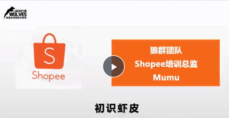 shopee虾皮全套课程，超过90％得东南亚互联网用户使用移动端上网