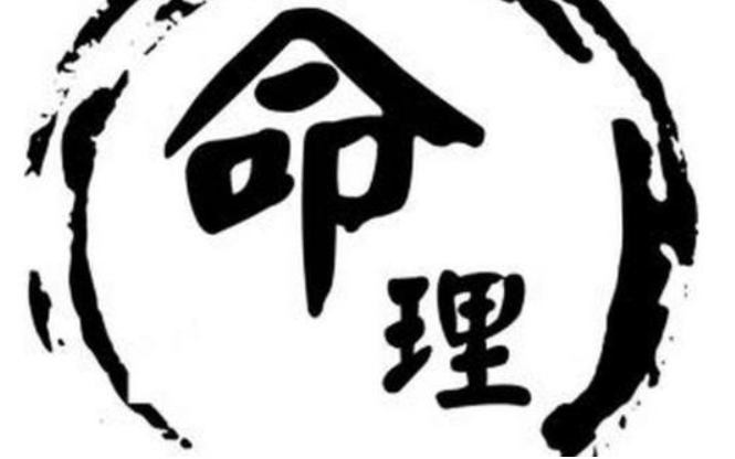 2025易学类课程合集打包合集，持续更新