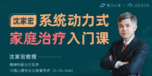 沈家宏:系统动力式家庭治疗入门课,价值599元 沈家宏:系统动力式家庭治疗入门课,价值599元