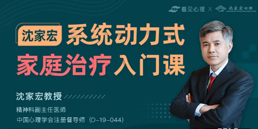 沈家宏：系统动力式家庭治疗入门课，价值599元