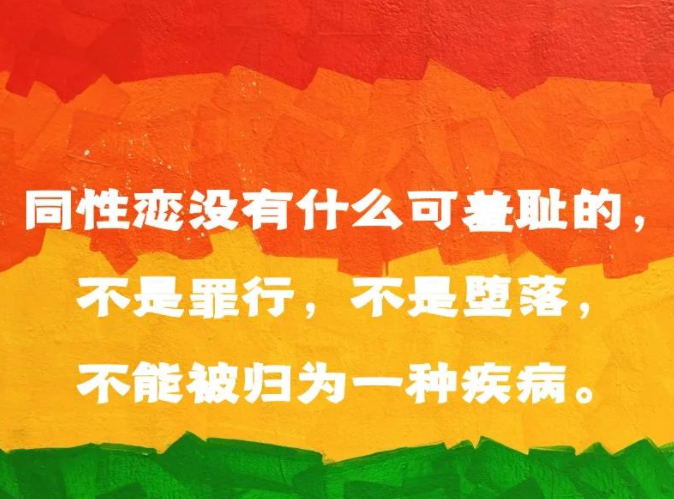 LGBTQI专题 : 精神分析与性少数来访者视频20讲