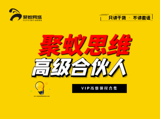 2021聚蚁思维高级合伙人vip全集课程，网盘下载