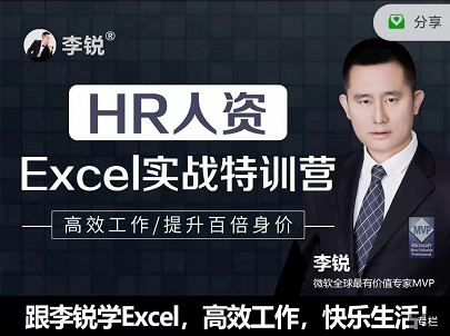 李锐HR人资Excel实战特训营快速提升百倍身价，价值599元