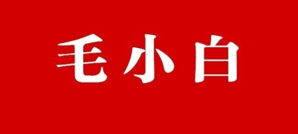 毛小白流量赚钱三个项目，pdf(付费文章)