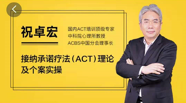 祝卓宏接纳承诺疗法(ACT)理论及个案操作视频课程，帮助来访者增强心理灵活性价值199元