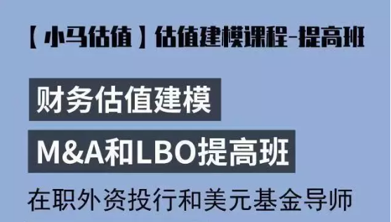 小马估值估值建模提高班，价值6999元