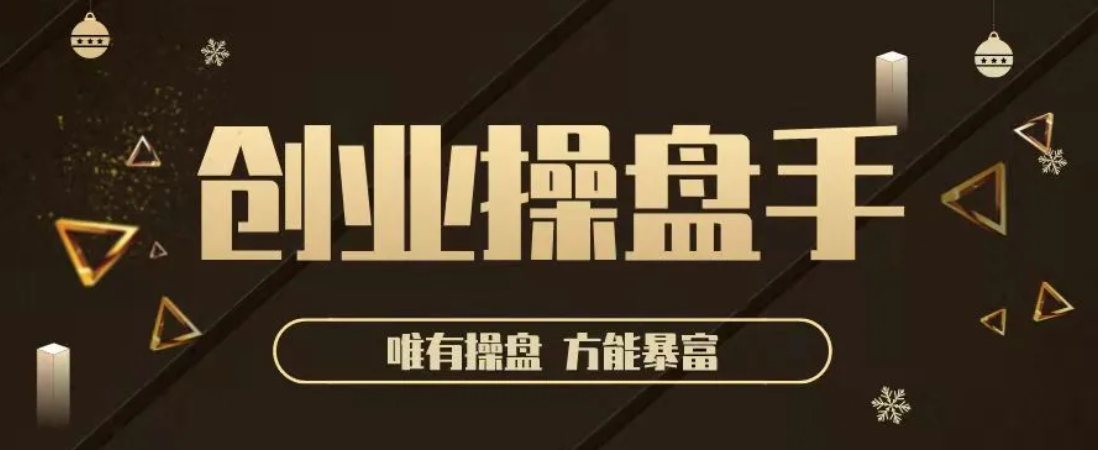 创业操盘手年入百万的指导课，唯有操盘方能暴富