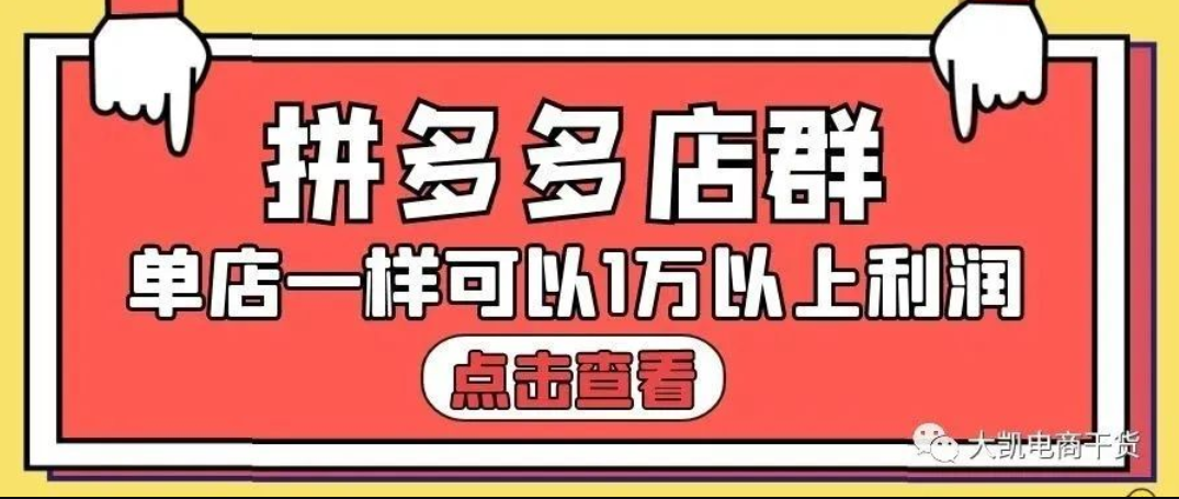 大凯电商拼多多店群单店高利润基础逻辑，网盘在线看