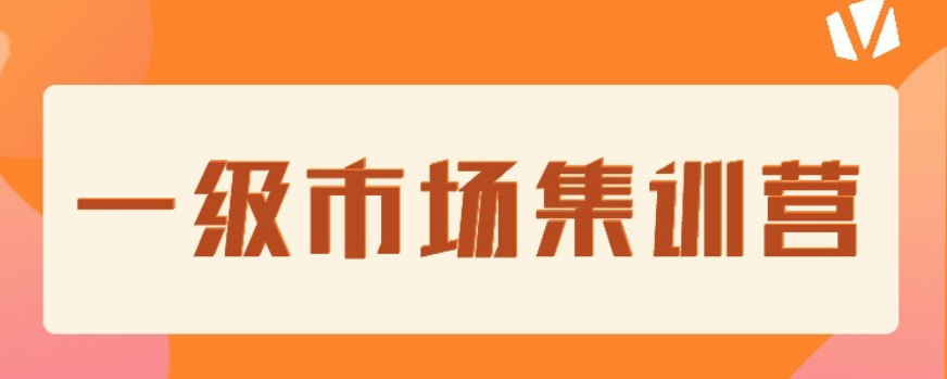 价值立方一级市场训练营，价值7000元