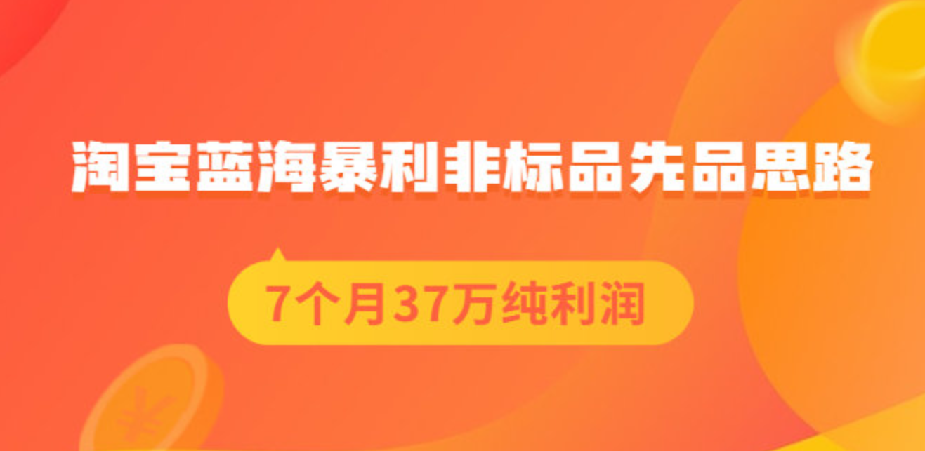 盗坤：淘宝蓝海暴利非标品选品思路PDF付费文章，网盘在线看