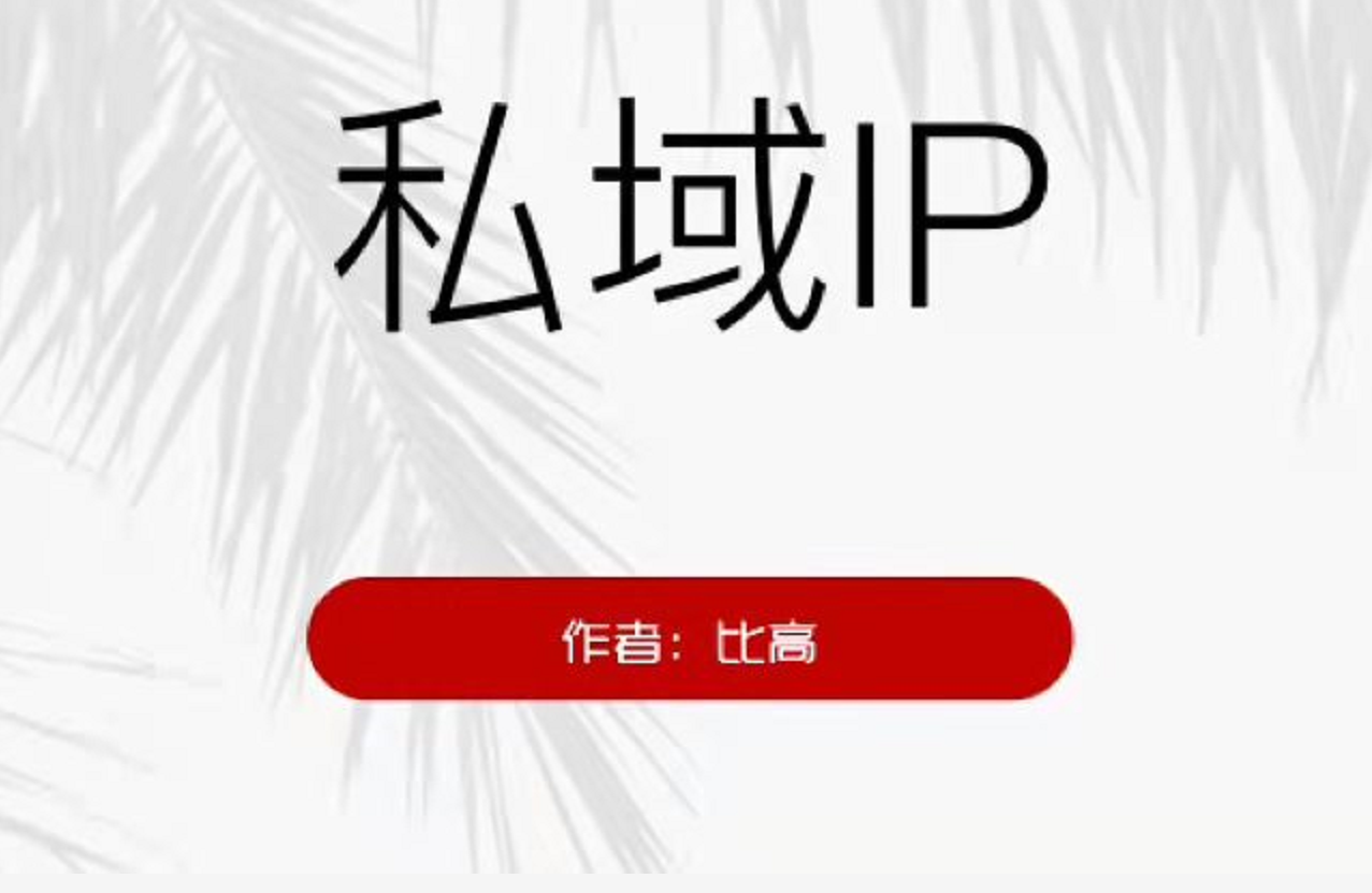 比高私域IP引流变现，私域IP一定是今后最值得干的一件事