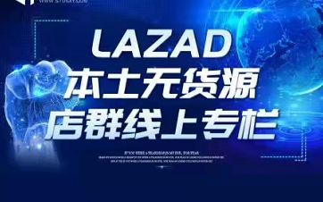 圣淘电商LAZADA本土无货源店群线上专栏跨境课程，价值4999元