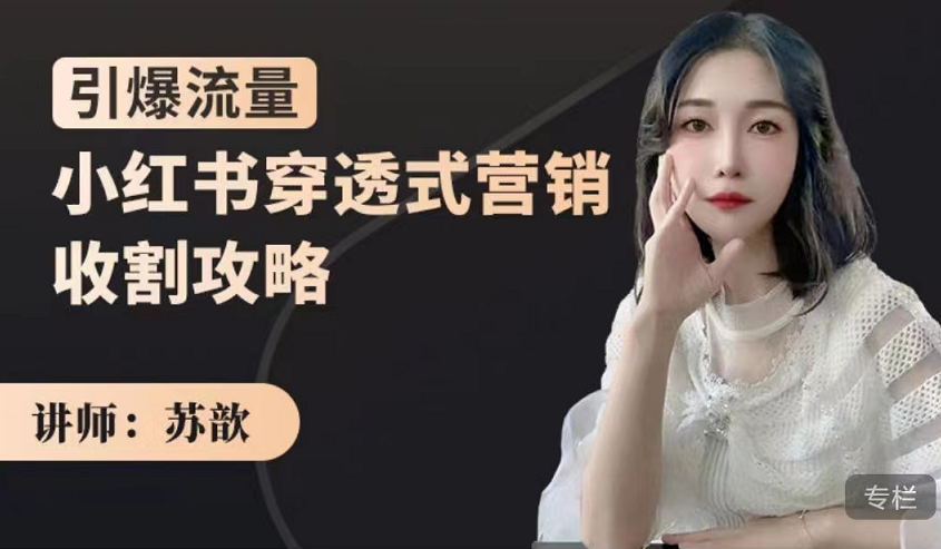 苏歆引爆流量小红书穿透式营销收割攻略,价值1280元 苏歆引爆流量小红书穿透式营销收割攻略,价值1280元