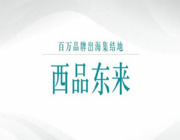 西品东来：谷歌SEO2.0西品东来，价值6999元