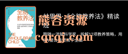 林思恩全脑教养法精读班，网盘下载价值299元