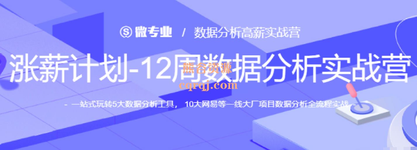 网易微专业涨薪计划12周数据分析实战营2022，数据分析全流程实战