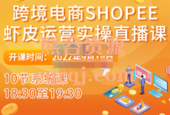 Sunny跨境电商shopee虾皮运营实操直播课，10节系统课程