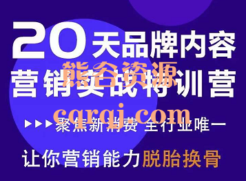 营销老王20天品牌内容营销实战特训营第二期，聚焦新消费