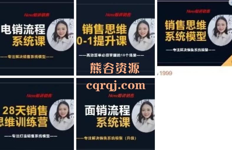 New姐讲销售课程合集 New姐讲销售课程合集