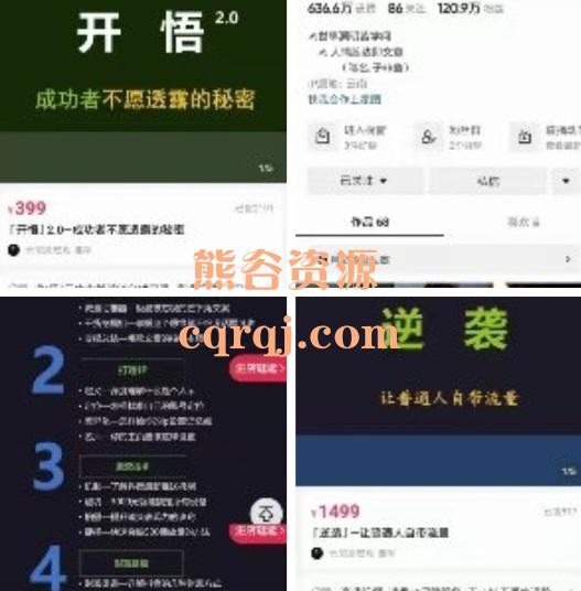 子非鱼逆袭让普通人自带流量＋开悟2.0成功者不愿透露的秘密