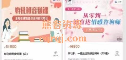 孵化项目音频课＋从0到1一键直达情感咨询师第八期