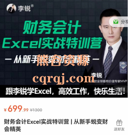 李锐财务会计Excel实战特训营，财务实务实战