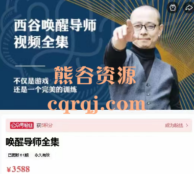 西谷唤醒导师全集课程，不仅是游戏还是一个完美的训练