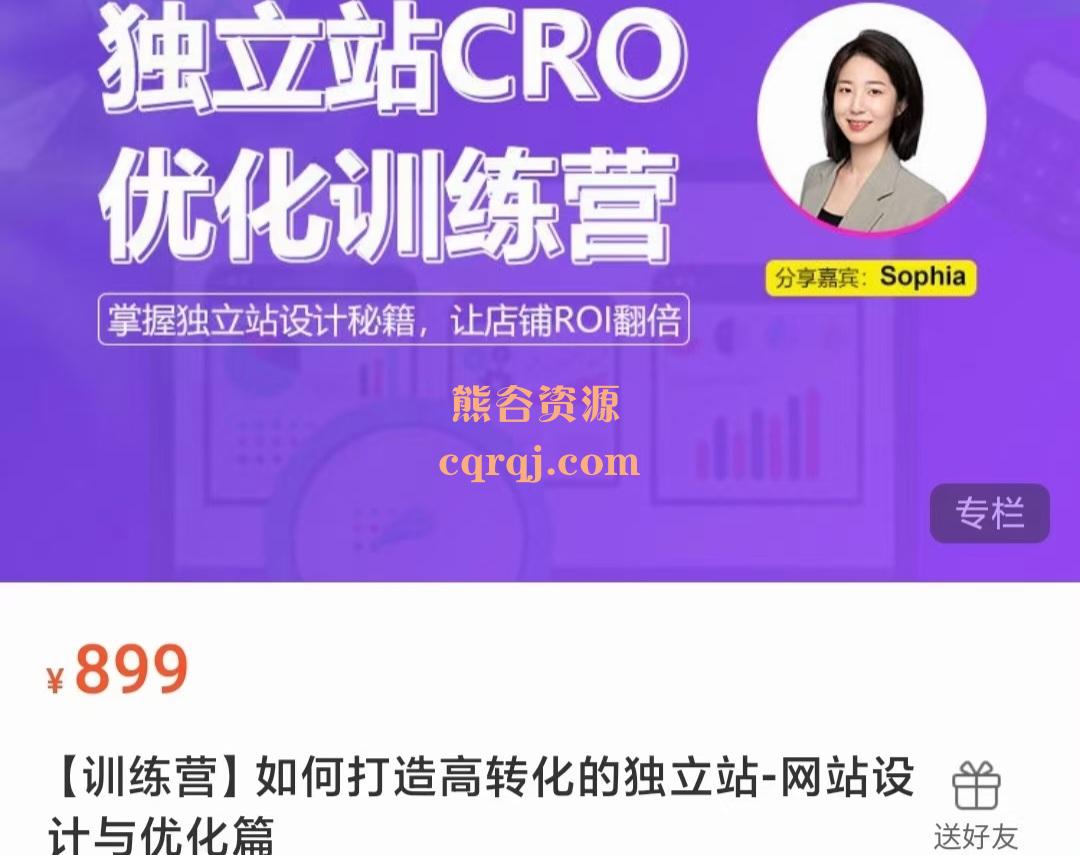 如何打造高转化的独立站网站设计与优化篇，Sophia独立站CRO优化训练营