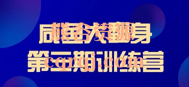 饼饼闲鱼无货源训练营3.0课程，咸鱼大翻身第三期训练营