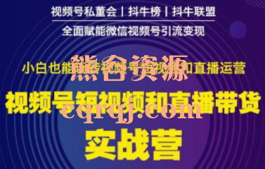 视频号带货极速盈利实战营课程