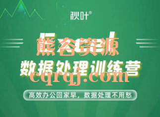 秋叶Excel数据处理训练营30期课程，数据处理不用愁