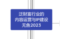 Hanson老师财富管理行业的IP建设专业内容生产与流量运营课程无鱼2023