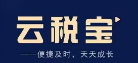 云税宝,实战派财税专家讲授 云税宝,实战派财税专家讲授