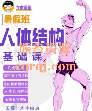 大木老师人体结构基础课第十期暑假班，人体肌肉解剖