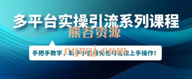 多平台实操引流系列课程，保姆级实操教程