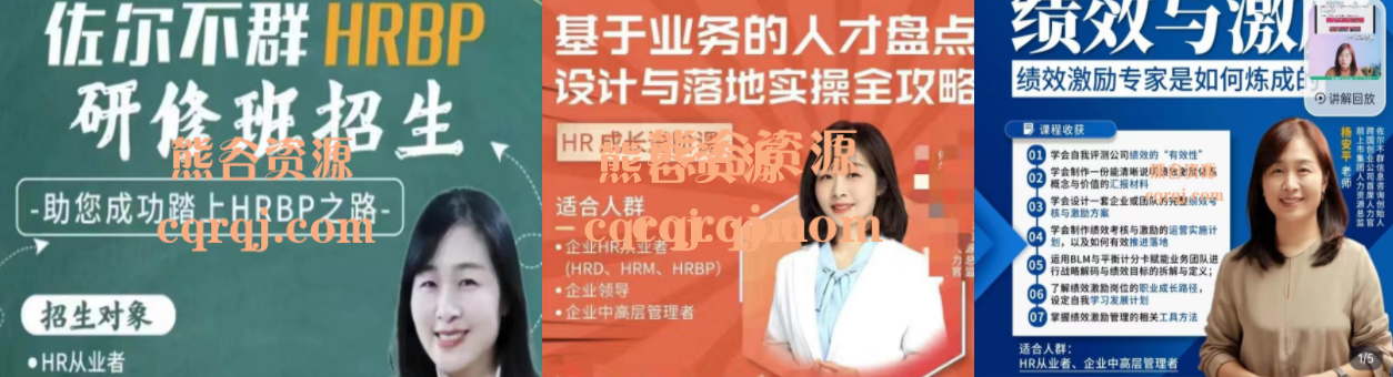 佐尔不群HRBP研修班+人才盘点设计与落地实操全攻略33节+战略性绩效与薪酬激励管理，杨安平老师