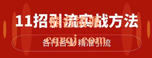 精准引流术：11招引流实战方法，各行各业精准引流