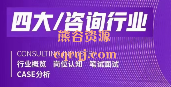 四大/咨询行业专业课，行业概览 岗位认知 笔试面试 CASE分析