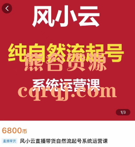 《风小云直播带货自然流起号系统运营课》价值6800元