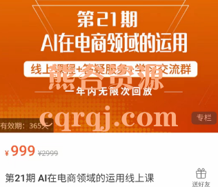 阿鹏哥AI在电商领域的运用线上课，价值999元