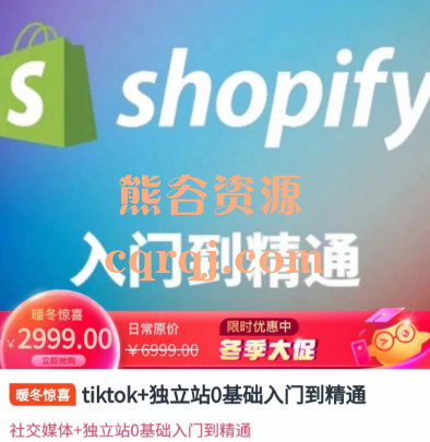 tiktok+独立站0基础入门到精通，shopify入门到精通