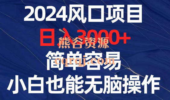 2024风口项目日入3000+简单容易小白也能无脑操作，一份详细的操作指南