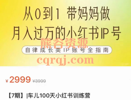 车儿100天小红书训练营7期，价值2999元