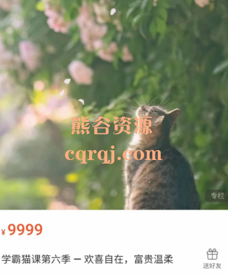 学霸猫课第六季-欢喜自在富贵温柔