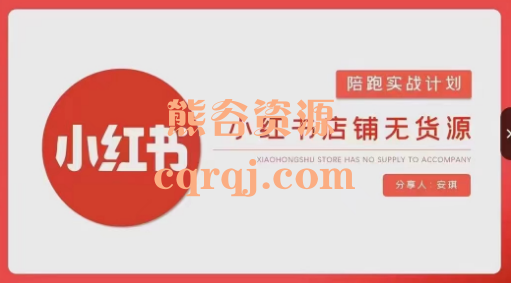 安琪小红书店铺无货源实战开店到售后全流程操作陪跑实战计划