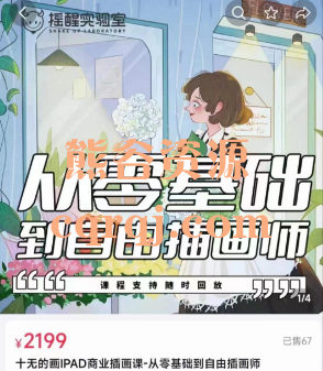 十无的画IPAD商业插画课-从零基础到自由插画师，价值2199元