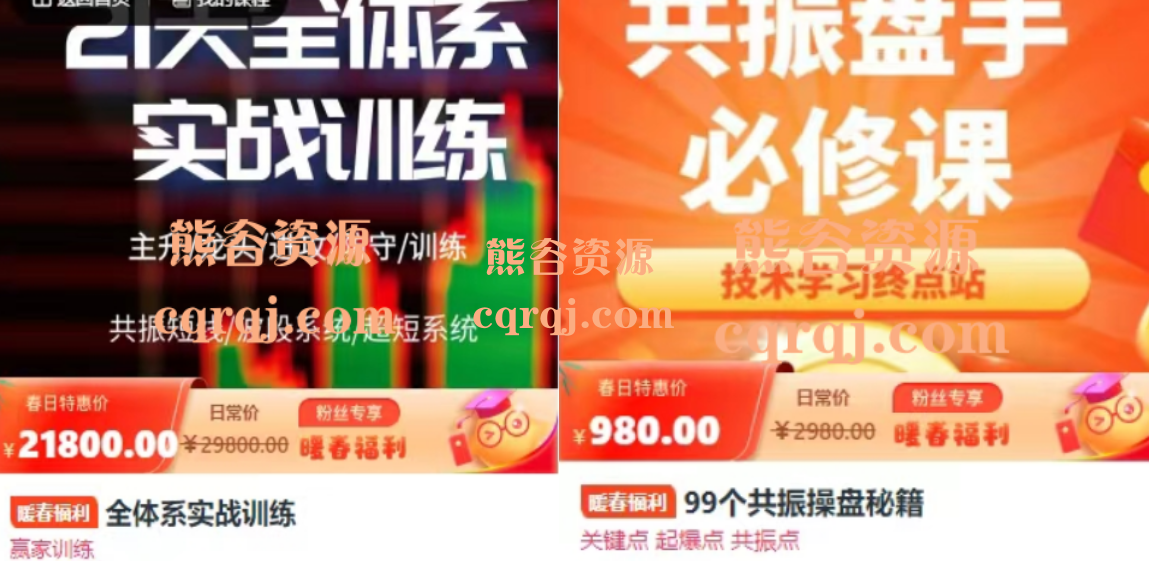 全体系实战训练+99个共振操盘秘籍，共振训练师课程